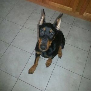 Meet your Posher, Tom